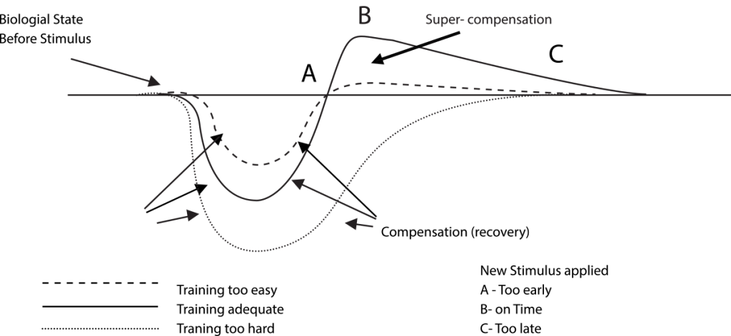 Supercompensatie